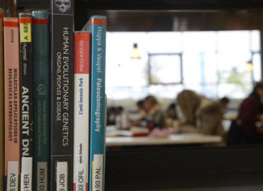 Bibliothèque 